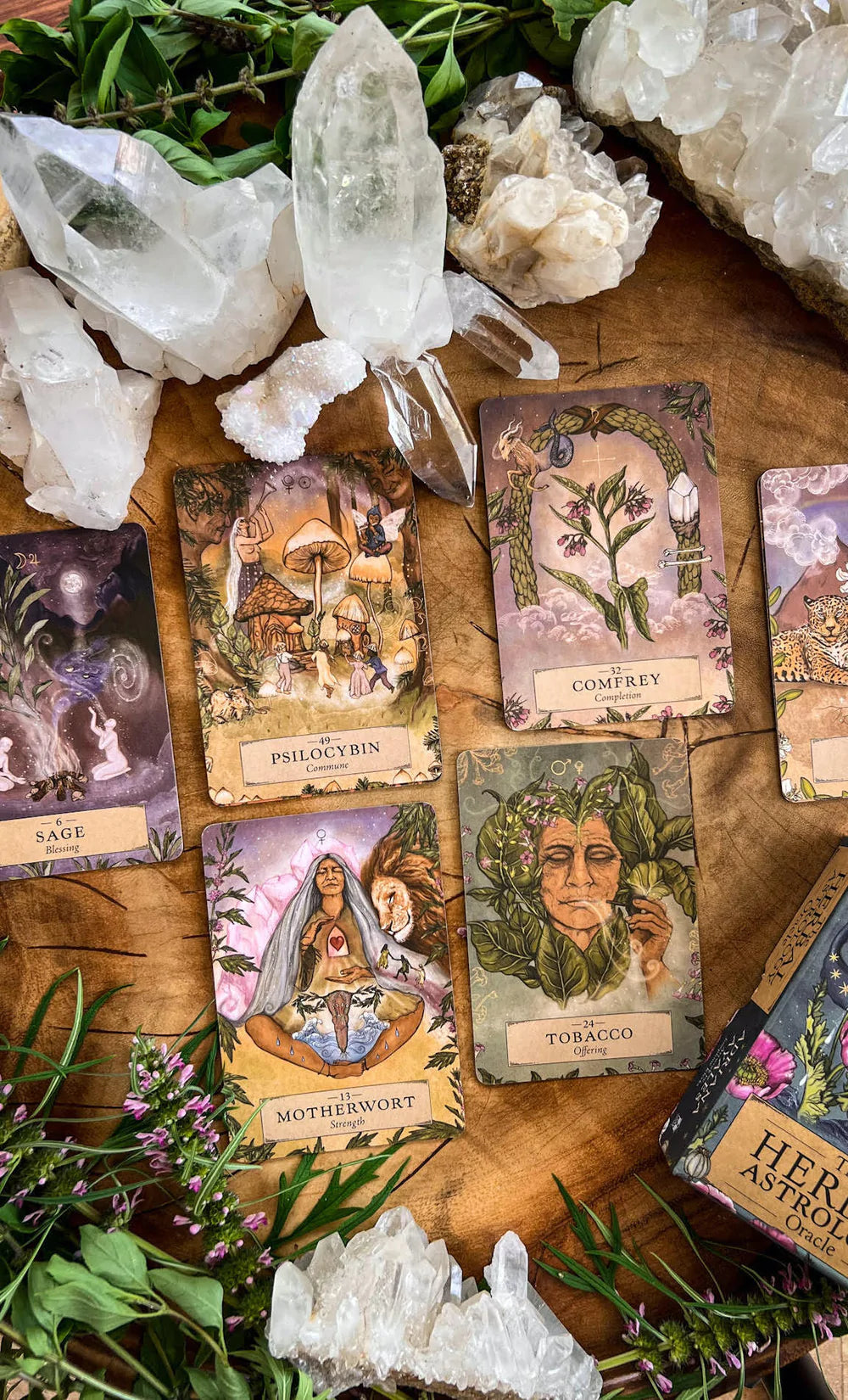 HERBAL ASTROLOGY Oracle - A 55 Card Deck and Guidebook